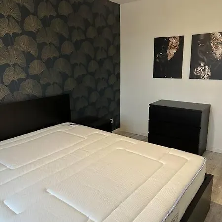 5 Chambres, Piscine Interieure, Proche Du Der Feriehus *